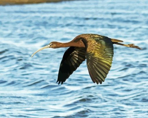 Flying Black Ibis Diamond Painting