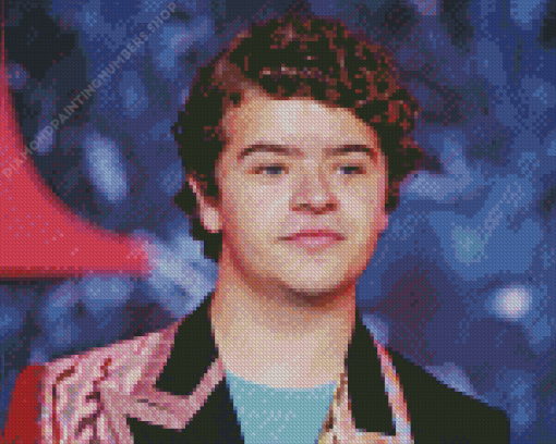 Gaten Matarazzo Diamond Painting