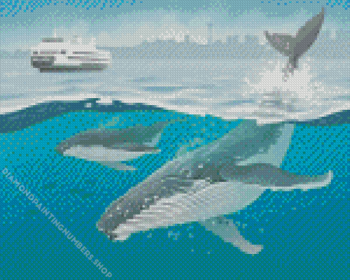 Humpback Whales Diamond Painting