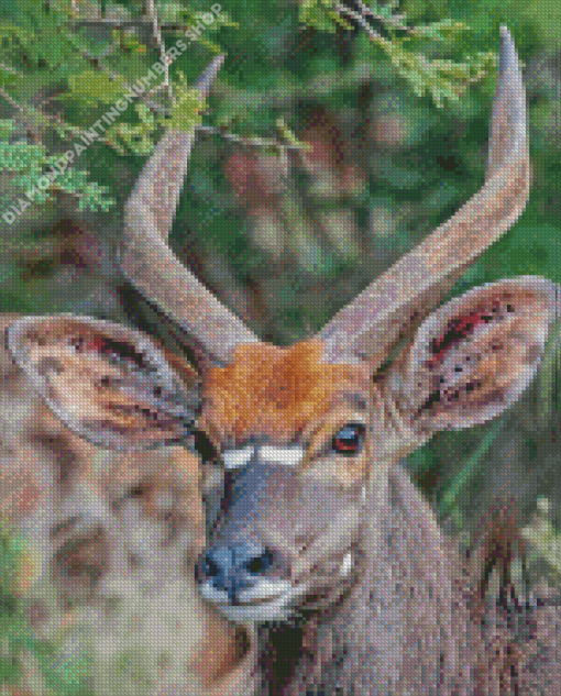 Nyala Diamond Painting