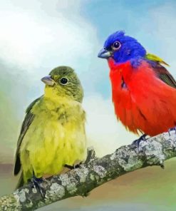 Painted Bunting Pair Diamond Painting