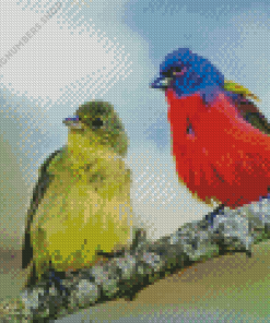 Painted Bunting Pair Diamond Painting