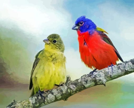 Painted Bunting Pair Diamond Painting