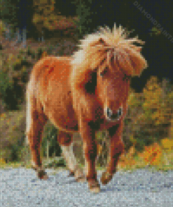 Shetland Pony Diamond Painting