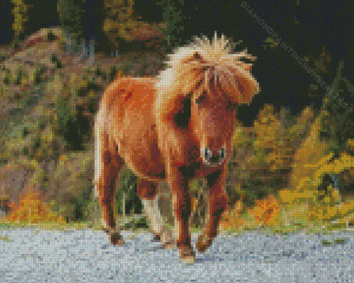 Shetland Pony Diamond Painting