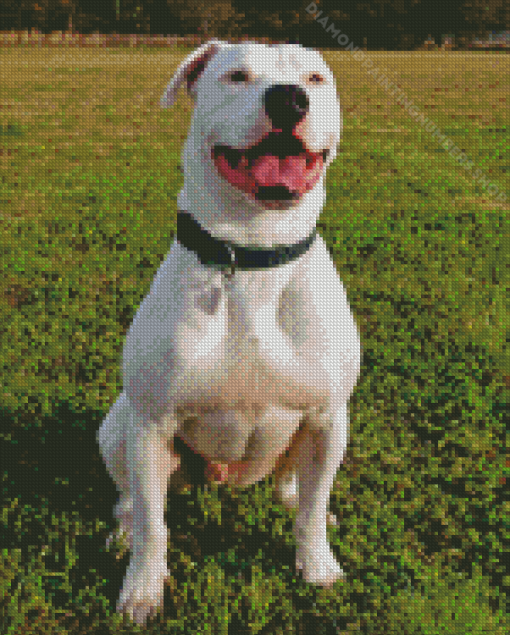 White American Bull Diamond Painting