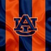 Auburn Tigers Football Diamond Painting