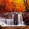 Autumn Forest River Diamond Painting