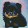 Black Pomeranian Diamond Painting