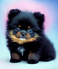 Black Pomeranian Diamond Painting