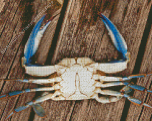 Blue Crab Diamond Painting