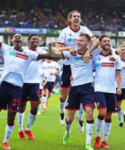 Bolton Wanderers Diamond by numbers