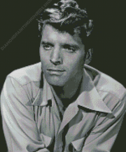 Burt Lancaster Diamond art