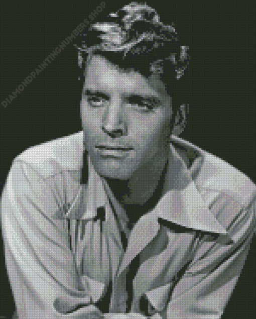 Burt Lancaster Diamond art