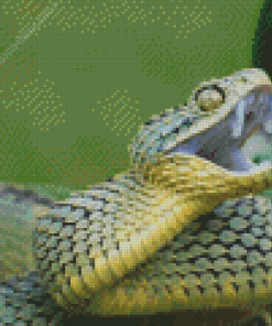 Bush Viper Diamond Painting