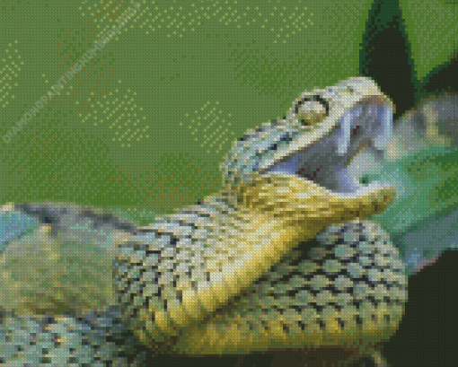 Bush Viper Diamond Painting