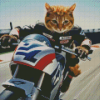 Cute Cat on Motorcycle Diamond Painting