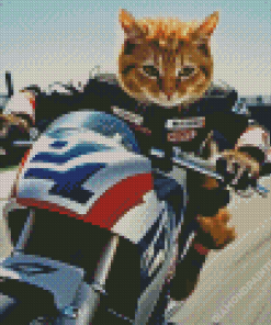 Cute Cat on Motorcycle Diamond Painting