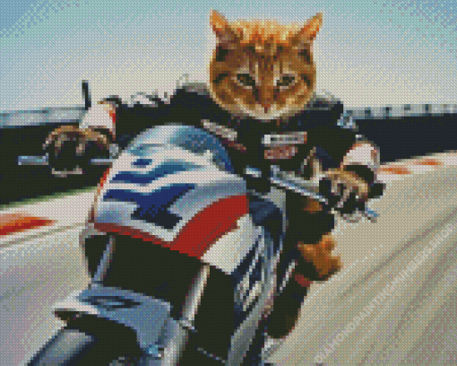 Cute Cat on Motorcycle Diamond Painting