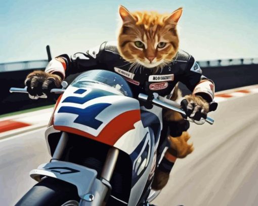 Cute Cat on Motorcycle Diamond Painting