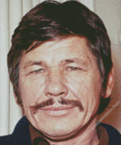 Charles Bronson Diamond Painting