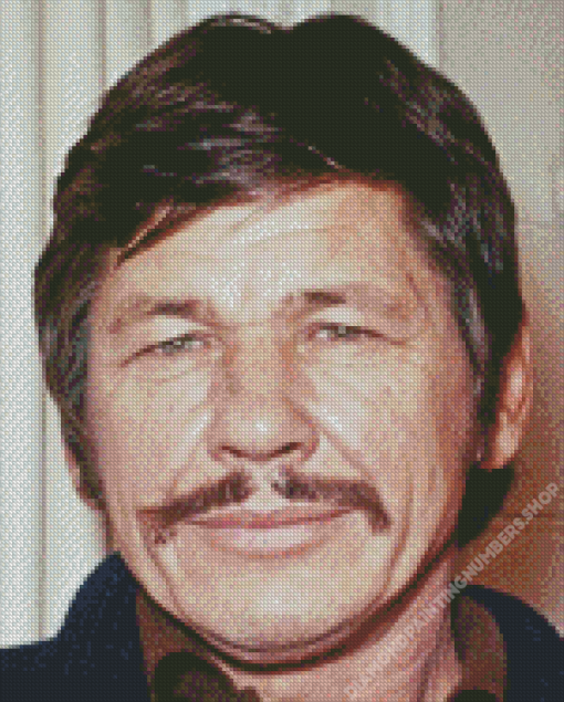 Charles Bronson Diamond Painting