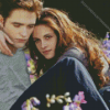 Edward and Bella Diamond Painting