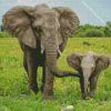 Elephant And Baby Diamond Painting