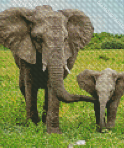 Elephant And Baby Diamond Painting