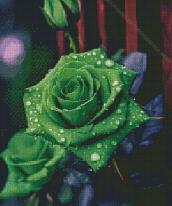 Green Rose Diamond by numbers