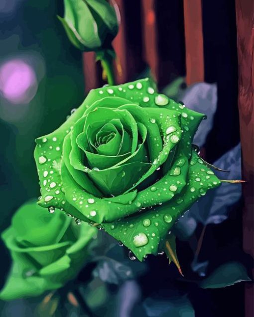 Green Rose Diamond by numbers