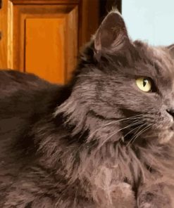 Grey Fluffy Cat Diamond Painting