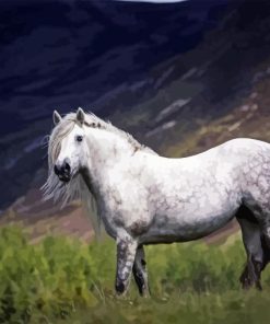 Highland Pony Diamond art