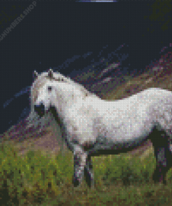 Highland Pony Diamond art