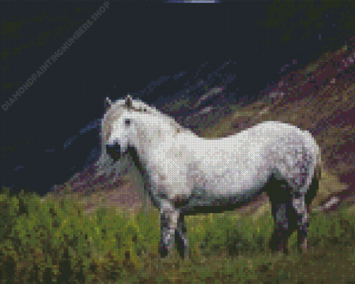 Highland Pony Diamond art