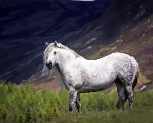 Highland Pony Diamond art