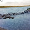 Lake Itasca Diamond Painting