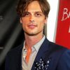 Matthew Gubler Actor Diamond Painting