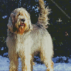 Otterhound Dog Diamond Painting