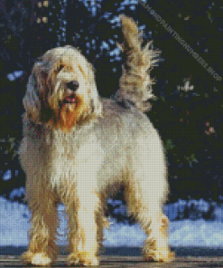 Otterhound Dog Diamond Painting