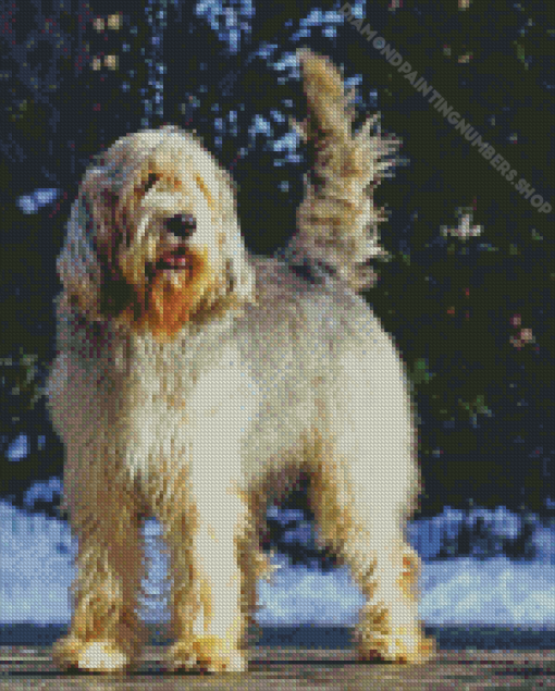 Otterhound Dog Diamond Painting