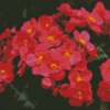 Pink Begonia Flowering Plants Diamond Painting