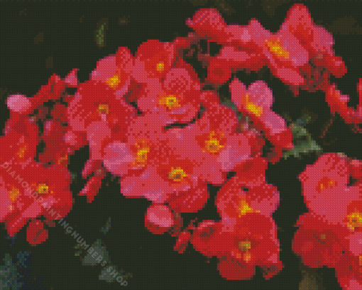 Pink Begonia Flowering Plants Diamond Painting