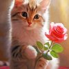 Pink Rose and Cat Diamond Painting