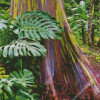 Rainbow Eucalyptus Diamond Painting