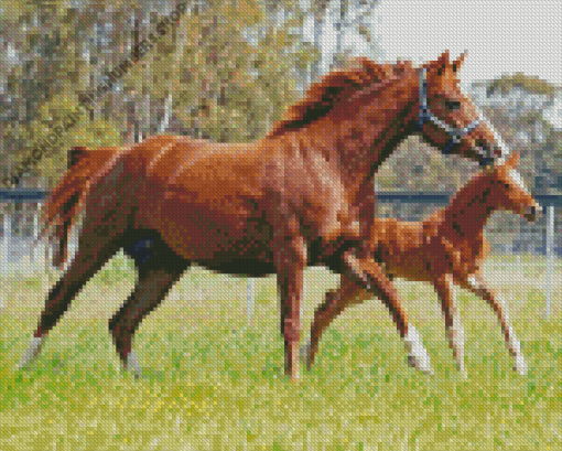 Red Horse with Foal Diamond Painting