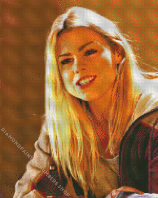 Rose Tyler Doctor Who Diamond Painting