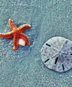 Sand Dollar Diamond Painting