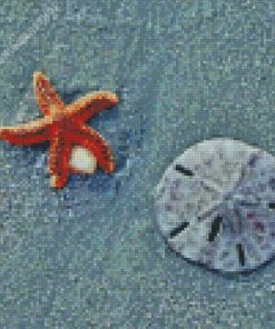 Sand Dollar Diamond Painting