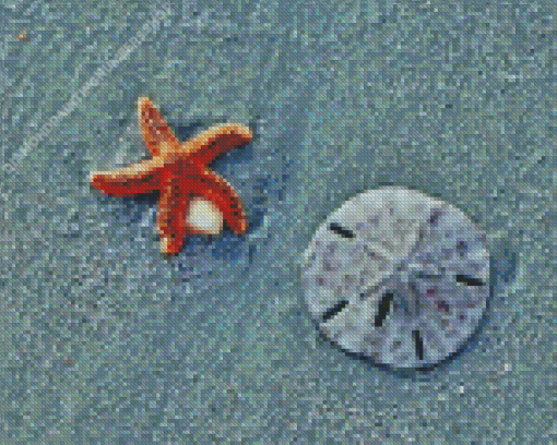 Sand Dollar Diamond Painting